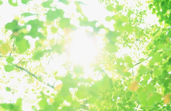 経験豊富なスタッフが丁寧に施術します！
